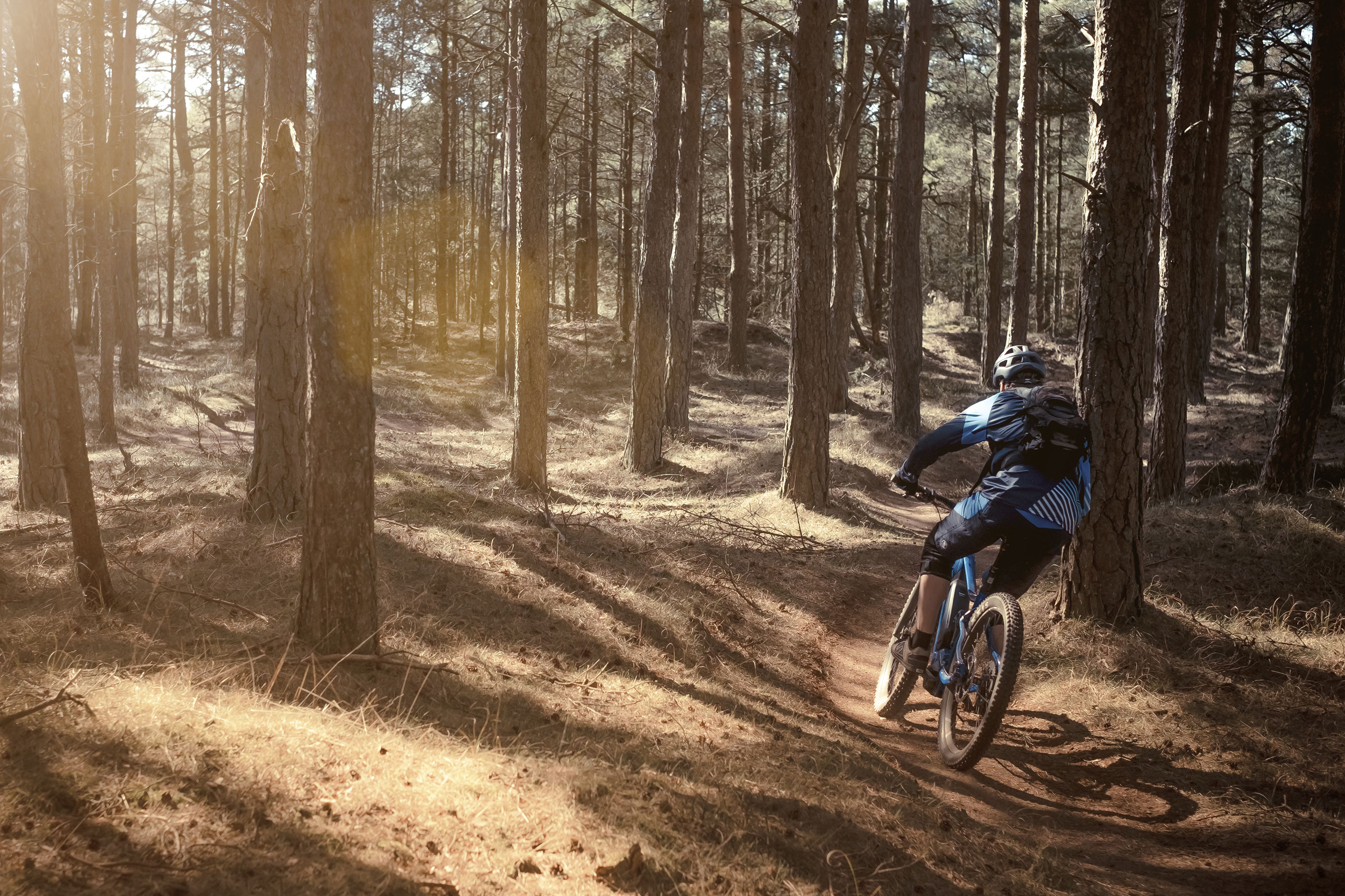 Vejers Strand Camping Natur Skov Mountainbike