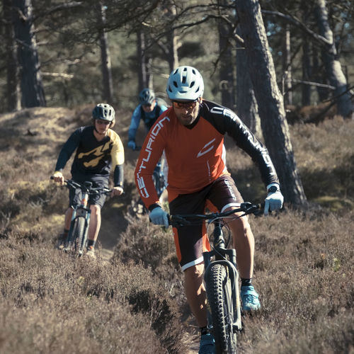 Vejers Strand Camping Natur Skov Mountainbike Gruppe