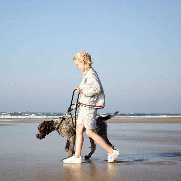 Vejers Strand Camping Strand Hund