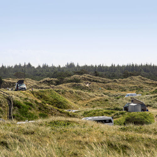 Vejers Strand Camping Pladsen Natur Overblik